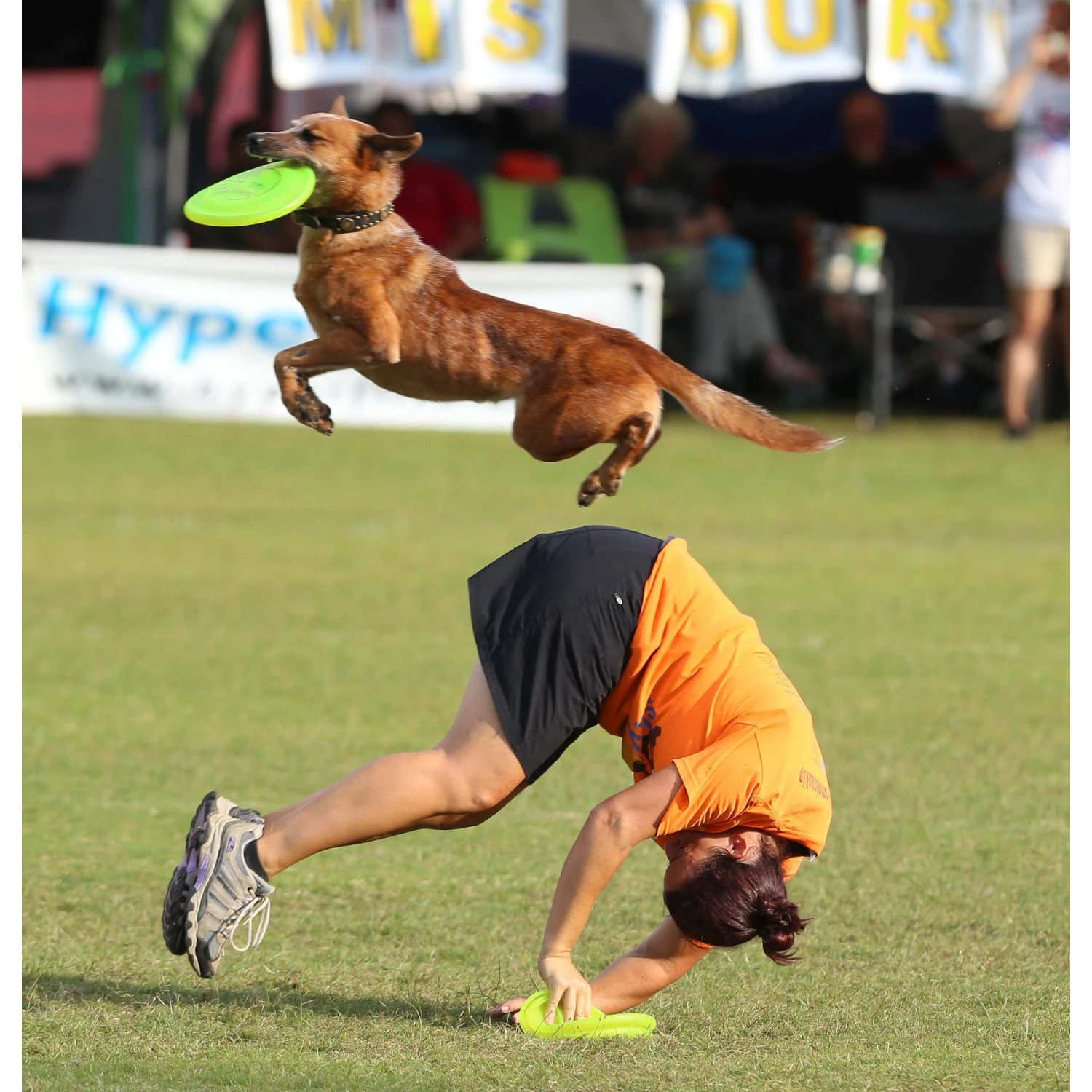 Hyperflite Jawz Disc 7 Hyperflite Jawz Disc - Image 5