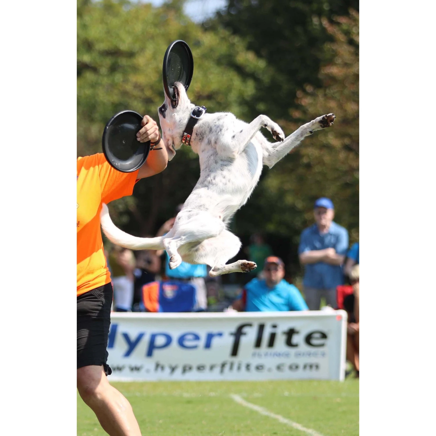 Hyperflite Jawz Disc 9 Hyperflite Jawz Disc - Image 7