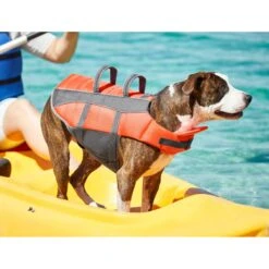 Frisco Ripstop Dog Life Jacket 18 Frisco Ripstop Dog Life Jacket -Blue Buffalo Shop 140919 PT7. AC SS1800 V1631051825