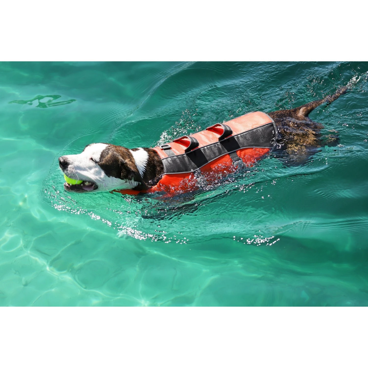 Frisco Ripstop Dog Life Jacket 11 Frisco Ripstop Dog Life Jacket - Image 9