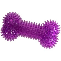 Gnawsome Squeaker Bone Dog Toy, Color Varies