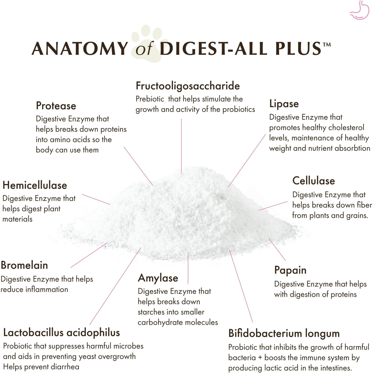 Wholistic Pet Organics Digest-All Plus Digestive Support For Dogs & Cats Supplement 6 Wholistic Pet Organics Digest-All Plus Digestive Support For Dogs & Cats Supplement - Image 4