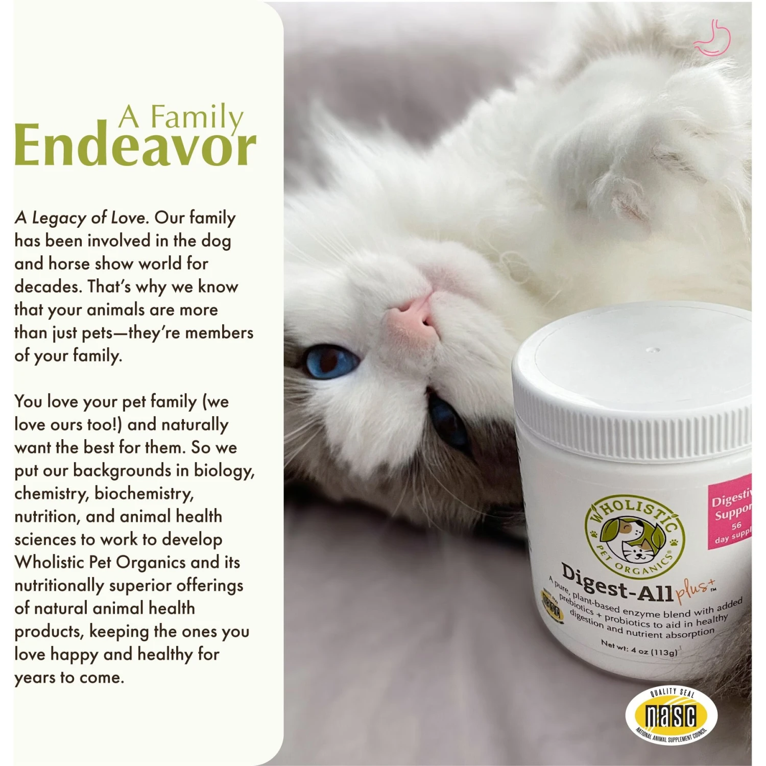 Wholistic Pet Organics Digest-All Plus Digestive Support For Dogs & Cats Supplement 7 Wholistic Pet Organics Digest-All Plus Digestive Support For Dogs & Cats Supplement - Image 5