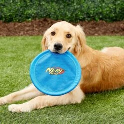 Nerf Dog Nylon Flyer Dog Toy 8 Nerf Dog Nylon Flyer Dog Toy -Blue Buffalo Shop 142892 PT1. AC SS1800 V1545251619
