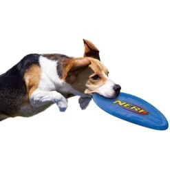 Nerf Dog Nylon Flyer Dog Toy 10 Nerf Dog Nylon Flyer Dog Toy -Blue Buffalo Shop 142892 PT3. AC SS1800 V1517611837