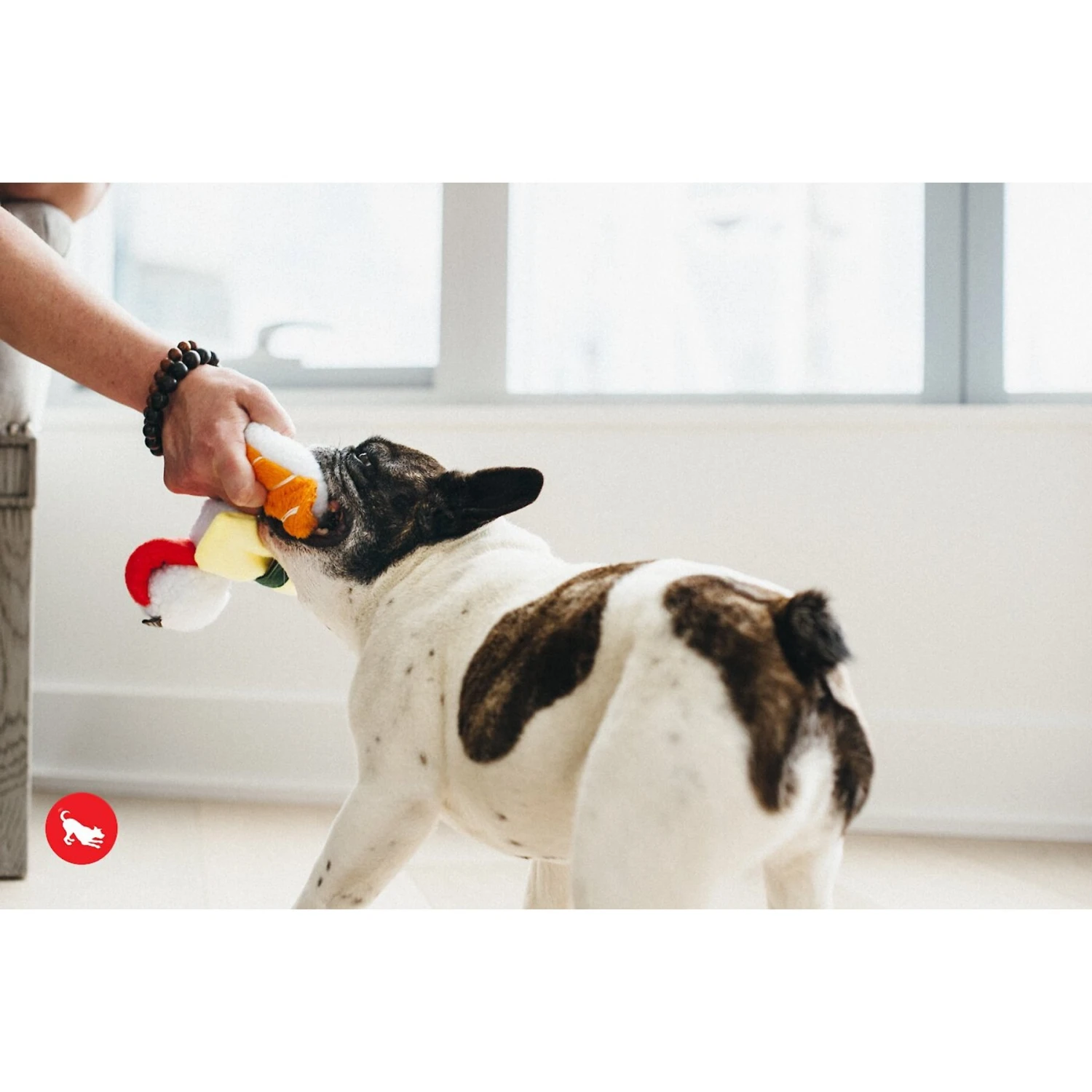 P.L.A.Y. Pet Lifestyle And You International Classic Food Sushi Squeaky Plush Dog Toy 6 P.L.A.Y. Pet Lifestyle And You International Classic Food Sushi Squeaky Plush Dog Toy - Image 4