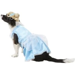 Rubie's Costume Company Cinderella Disney Princess Dog & Cat Costume -Blue Buffalo Shop 144122 PT4. AC SS1800 V1569005881
