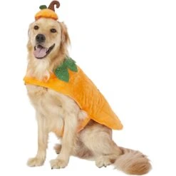 Frisco Pumpkin Dog & Cat Costume -Blue Buffalo Shop 144446 PT2. AC SS1800 V1567174700