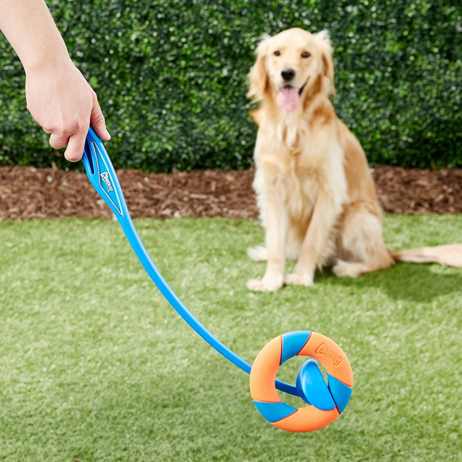 Chuckit! Ultra Ring Launcher Fetch Dog Toy 5 Chuckit! Ultra Ring Launcher Fetch Dog Toy - Image 3