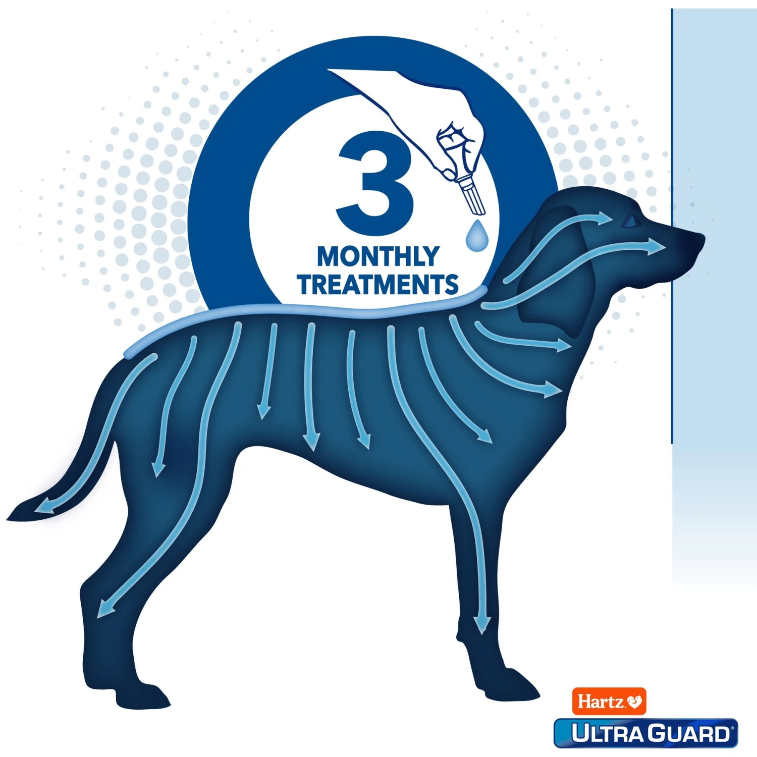 Hartz UltraGuard Dual Action Flea & Tick Spot Treatment For Dogs, 31-60 Lbs 7 Hartz UltraGuard Dual Action Flea & Tick Spot Treatment For Dogs, 31-60 Lbs - Image 5