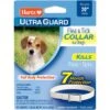 Hartz UltraGuard Flea & Tick Collar For Dogs, Up To 20" Neck -Blue Buffalo Shop 145750 MAIN. AC SS1800 V1648624911