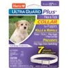 Hartz UltraGuard Plus Dog Flea & Tick Collar For Dogs, X-Small & Toy & Small Breeds -Blue Buffalo Shop 145752 MAIN. AC SS1800 V1648623689