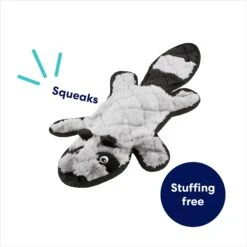 Frisco Raccoon Stuffing-Free Flat Plush Squeaky Dog Toy 10 Frisco Raccoon Stuffing-Free Flat Plush Squeaky Dog Toy -Blue Buffalo Shop 147071 PT2. AC SS1800 V1692826085