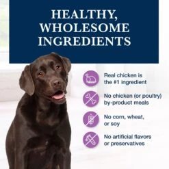 Blue Buffalo Natural Veterinary Diet W+U Weight Management + Urinary Care Chicken Wet Dog Food -Blue Buffalo Shop 147694 PT5. AC SS1800 V1695132225