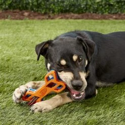 Nerf Dog EXO Treat Dispensing Bone Dog Toy -Blue Buffalo Shop 148525 PT5. AC SS1800 V1531938420