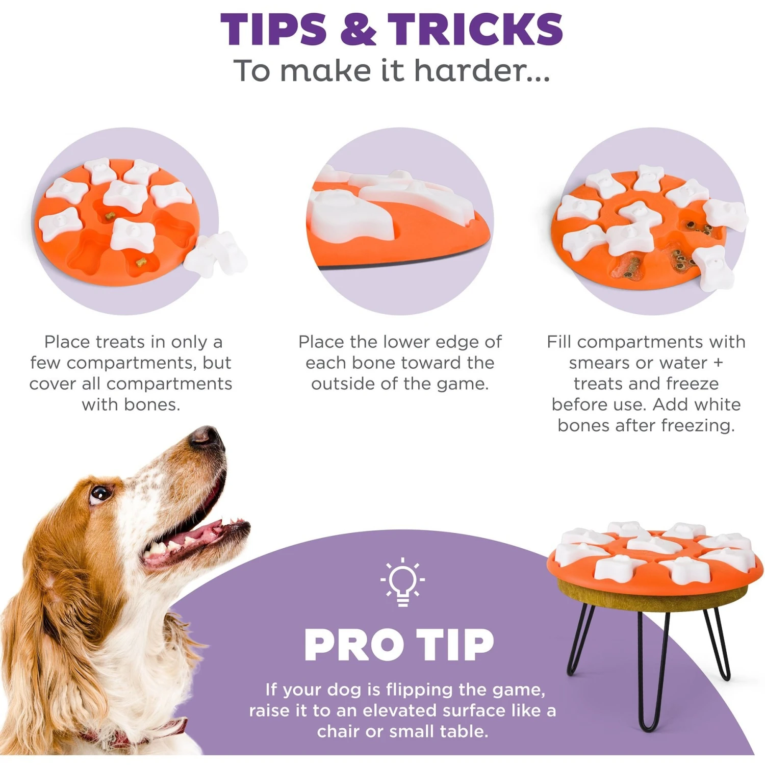 Nina Ottosson By Outward Hound Puppy Smart Dog Toy 7 Nina Ottosson By Outward Hound Puppy Smart Dog Toy - Image 5