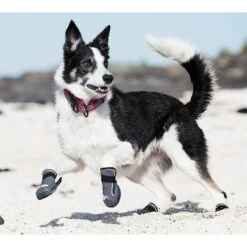 Hurtta Outback Dog Boots, 2 Count -Blue Buffalo Shop 150054 PT3. AC SS1800 V1534454523