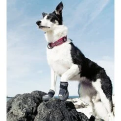 Hurtta Outback Dog Boots, 2 Count -Blue Buffalo Shop 150054 PT6. AC SS1800 V1534454534