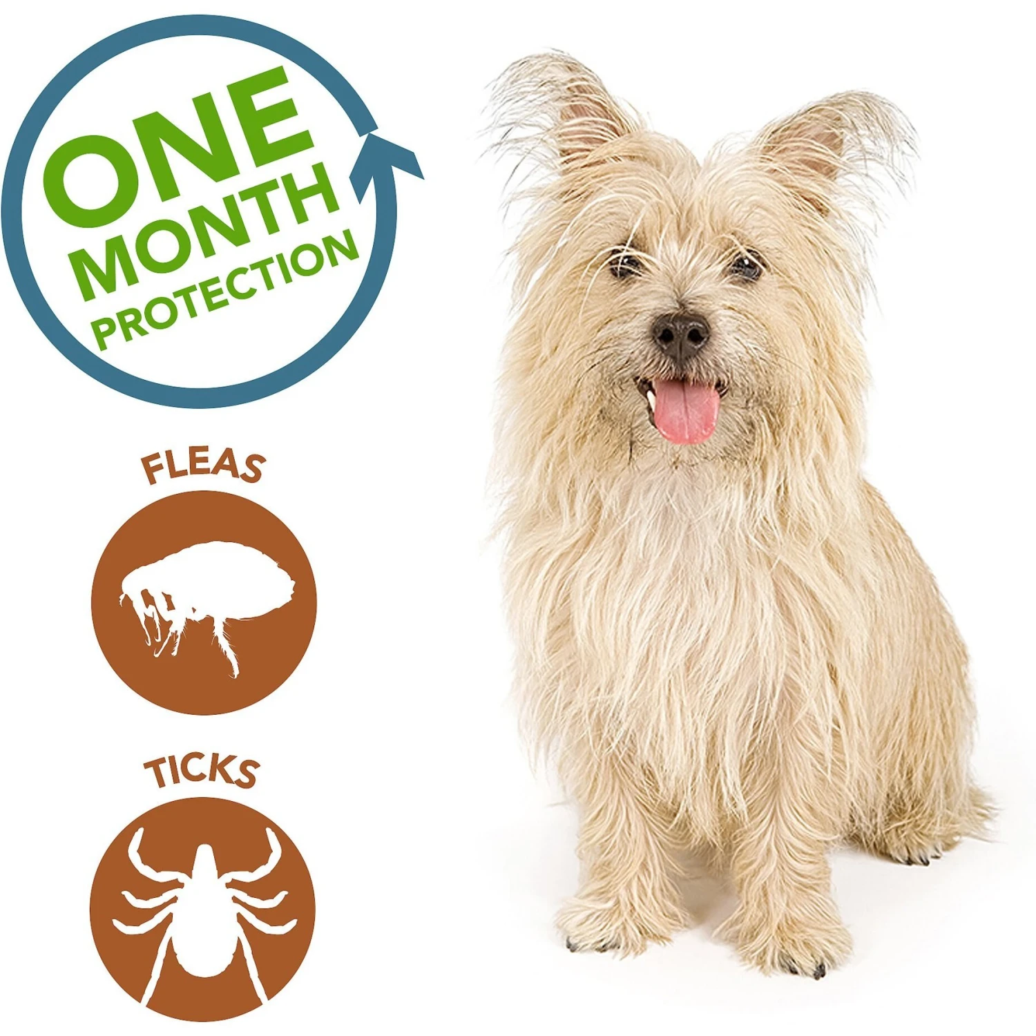 Vet's Best Flea & Tick Spot Treatment For Dogs, Under 15 Lbs 7 Vet's Best Flea & Tick Spot Treatment For Dogs, Under 15 Lbs - Image 5