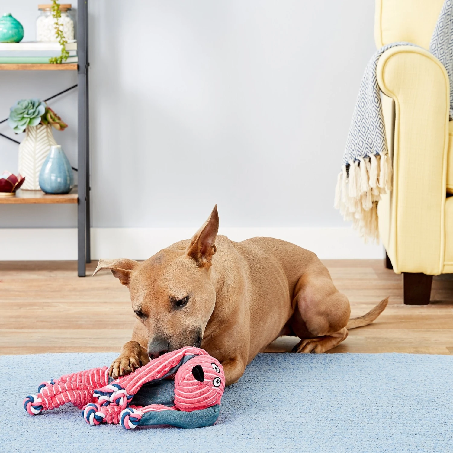 KONG Floppy Knots Dog Toy, Bunny 4 KONG Floppy Knots Dog Toy, Bunny - Image 2