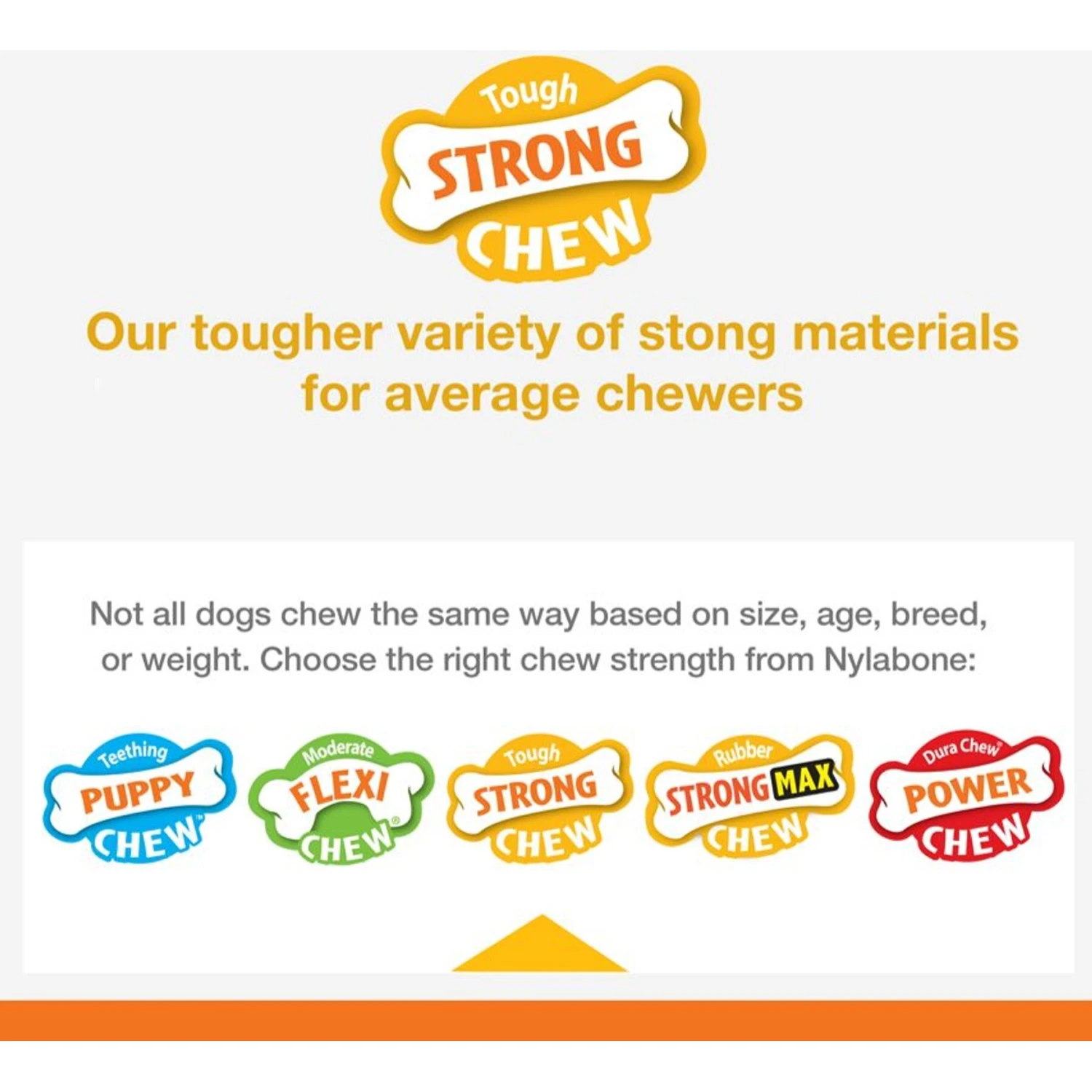 Nylabone Strong Chew Real Wood Dog Stick Toy 7 Nylabone Strong Chew Real Wood Dog Stick Toy - Image 5