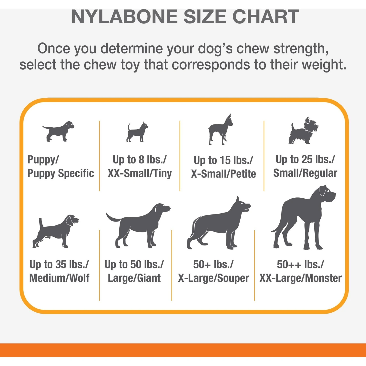 Nylabone Strong Chew Real Wood Dog Stick Toy 8 Nylabone Strong Chew Real Wood Dog Stick Toy - Image 6