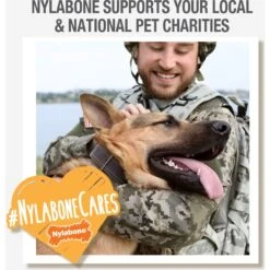 Nylabone Strong Chew Real Wood Dog Stick Toy 17 Nylabone Strong Chew Real Wood Dog Stick Toy -Blue Buffalo Shop 152710 PT6. AC SS1800 V1678737266