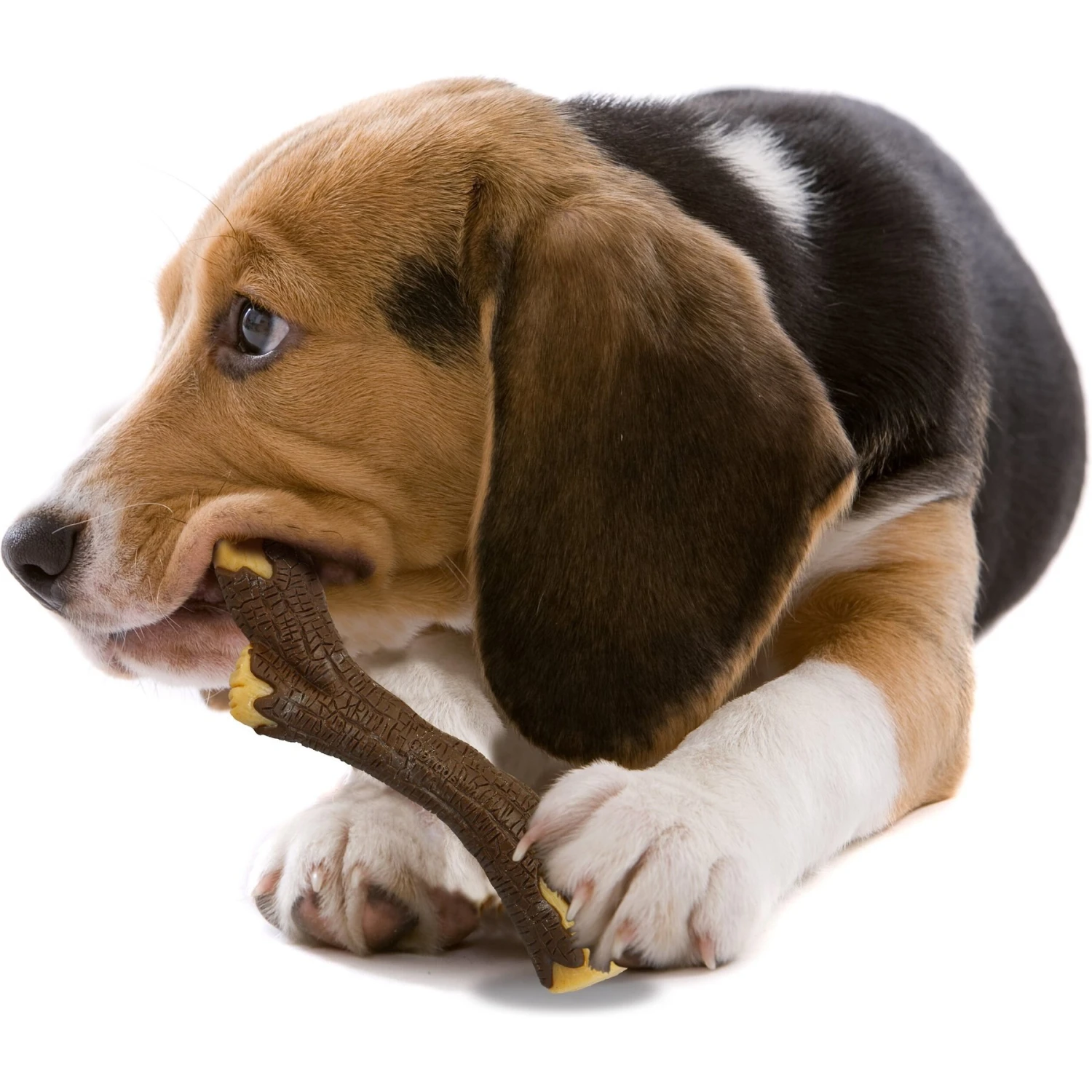 Nylabone Strong Chew Real Wood Dog Stick Toy 11 Nylabone Strong Chew Real Wood Dog Stick Toy - Image 9