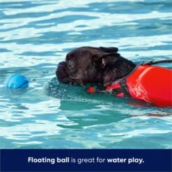 Frisco Foam Rubber Floating Fetch Ball No Squeak Dog Toy 11 Frisco Foam Rubber Floating Fetch Ball No Squeak Dog Toy -Blue Buffalo Shop 152798 PT3. AC SS1800 V1686579688