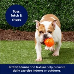 Frisco Fetch Squeaky TPR Ball Dog Toy 12 Frisco Fetch Squeaky TPR Ball Dog Toy -Blue Buffalo Shop 152801 PT4. AC SS1800 V1686580091