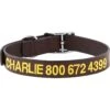 GoTags Leather Personalized Dog Collar