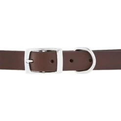 GoTags Leather Personalized Dog Collar -Blue Buffalo Shop 152940 PT4. AC SS1800 V1548442003