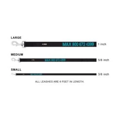 GoTags Nylon Personalized Dog Leash -Blue Buffalo Shop 152975 PT6. AC SS1800 V1542122528