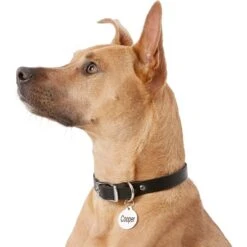 Frisco Personalized Dog & Cat Tag, Round -Blue Buffalo Shop 153015 PT5. AC SS1800 V1540562586