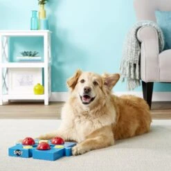 Ethical Pet Seek-A-Treat Flip N Slide Puzzle Dog Toy -Blue Buffalo Shop 154209 PT2. AC SS1800 V1554127533