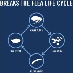 PetArmor Plus Flea & Tick Spot Treatment For Dogs, 23-44 Lbs -Blue Buffalo Shop 154774 PT4. AC SS1800 V1701361430