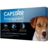 Capstar Flea Oral Treatment For Dogs, 2-25 Lbs -Blue Buffalo Shop 154852 MAIN. AC SS1800 V1693491938