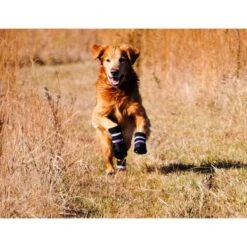 Bark Brite All Weather Reflective Neoprene Dog Boots, 4 Count -Blue Buffalo Shop 155000 PT7. AC SS1800 V1613687208