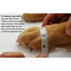 Bark Brite All Weather Reflective Neoprene Dog Boots, 4 Count -Blue Buffalo Shop 155000 PT8. AC SS1800 V1619723819