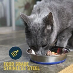 OurPets Durapet Premium Stainless Steel Cat & Dog Bowl 11 OurPets Durapet Premium Stainless Steel Cat & Dog Bowl -Blue Buffalo Shop 155056 PT2. AC SS1800 V1639092860