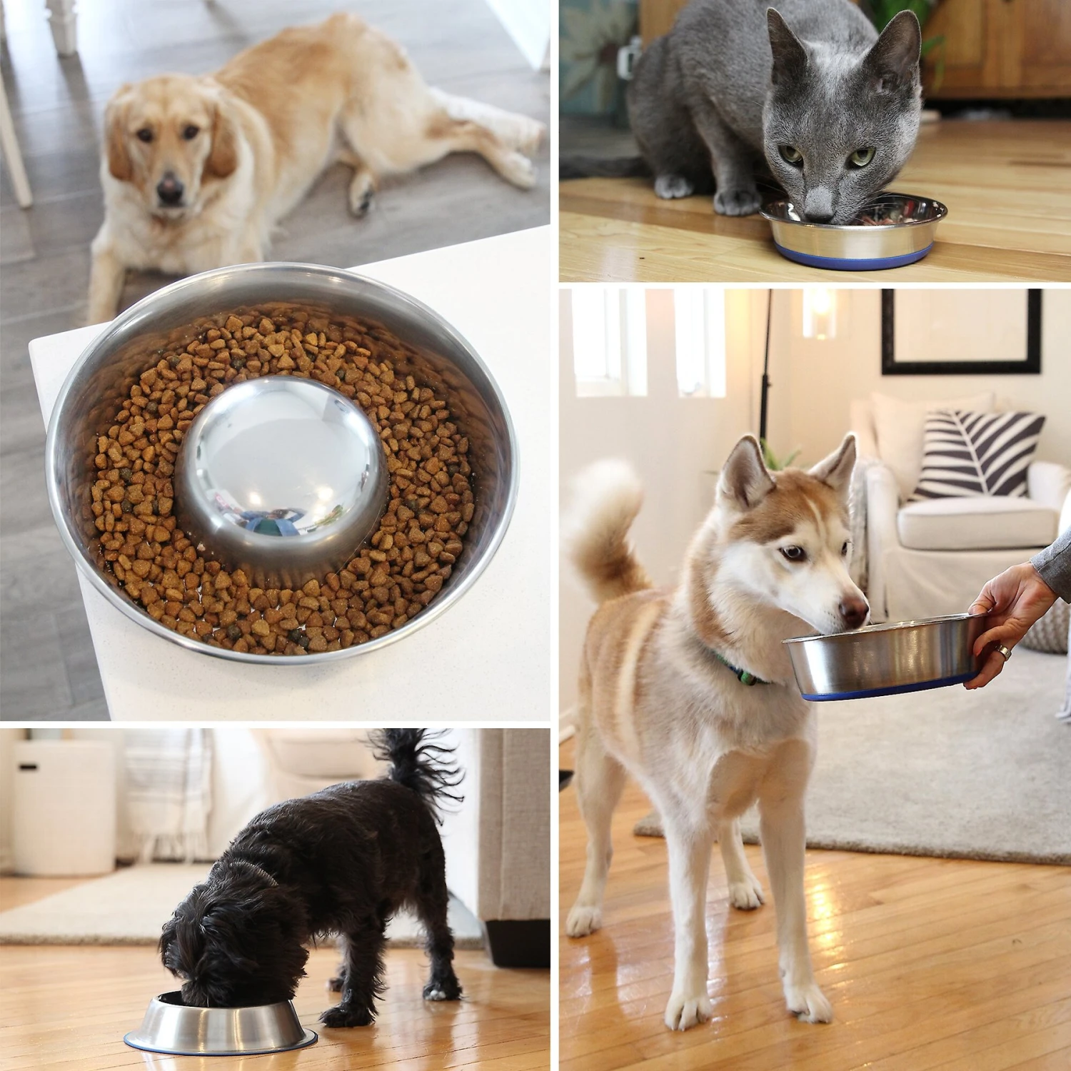 OurPets Durapet Premium Stainless Steel Cat & Dog Bowl 8 OurPets Durapet Premium Stainless Steel Cat & Dog Bowl - Image 6