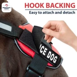 Industrial Puppy Service Dog Patches -Blue Buffalo Shop 155415 PT4. AC SS1800 V1672327406