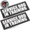 Industrial Puppy Service Dog In Training Patches -Blue Buffalo Shop 155420 MAIN. AC SS1800 V1670595532