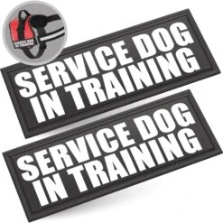 Industrial Puppy Service Dog In Training Patches