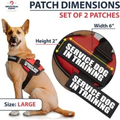 Industrial Puppy Service Dog In Training Patches -Blue Buffalo Shop 155420 PT2. AC SS1800 V1672327521