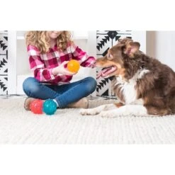 ZippyPaws ZippyTuff Squeaker Ball Dog Toy -Blue Buffalo Shop 155451 PT2. AC SS1800 V1545163315