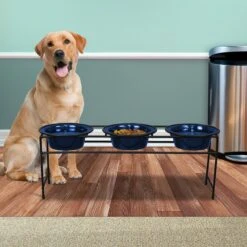 Platinum Pets Modern Triple Diner Elevated Wide Rimmed Dog & Cat Bowl 10 Platinum Pets Modern Triple Diner Elevated Wide Rimmed Dog & Cat Bowl -Blue Buffalo Shop 155508 PT4. AC SS1800 V1628181087
