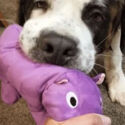 Snuggle Puppy Tender-Tuffs Plump Purple Hippo Tough Squeaky Dog Toy -Blue Buffalo Shop 155735 PT5. AC SS1800 V1667517550