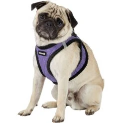 Best Pet Supplies Voyager Padded Faux Leather Dog Harness -Blue Buffalo Shop 155873 PT4. AC SS1800 V1575421703