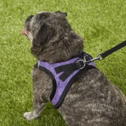 Best Pet Supplies Voyager Padded Faux Leather Dog Harness -Blue Buffalo Shop 155873 PT7. AC SS1800 V1575484464